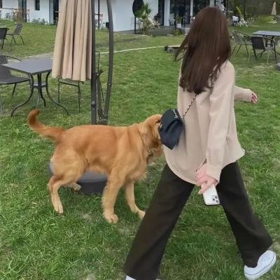 上国赋