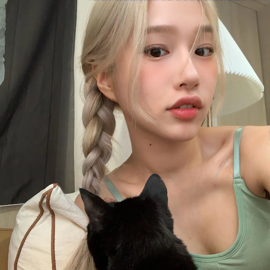 牢笼的熊
